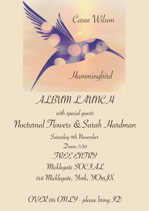 Hummingbird launch poster